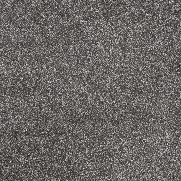 Rustic Retreat II Polyester Twilight Plains 4128 Carpet Textured 1