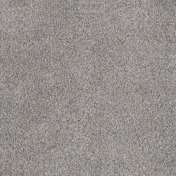 Rustic Retreat II Polyester Wedgewood 4130 Carpet Textured 1