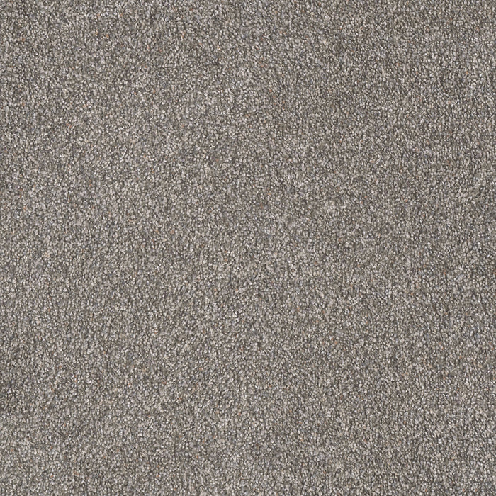 Rustic Retreat I Polyester Laurel 4134 Carpet Textured 1