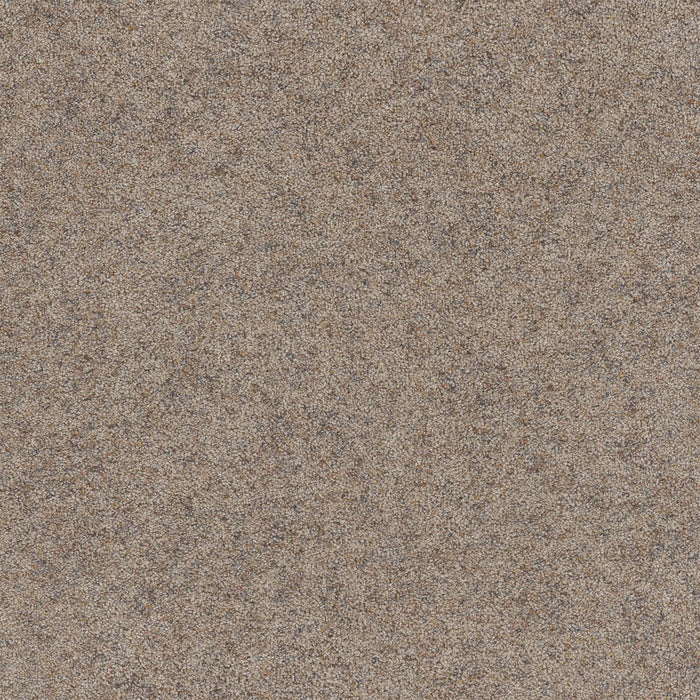 Rustic Retreat II Polyester Barn Light 4138 Carpet Textured 1