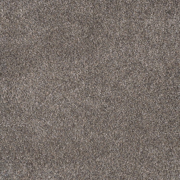 Rustic Retreat I Polyester High Sierra 4140 Carpet Textured 1