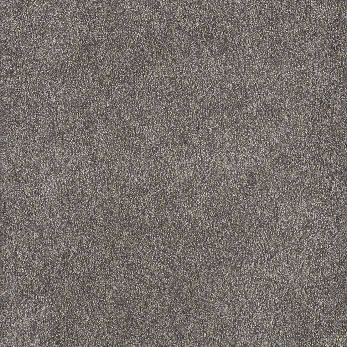 Rustic Retreat I Polyester Cloudy Coast 5026 Carpet Textured 1