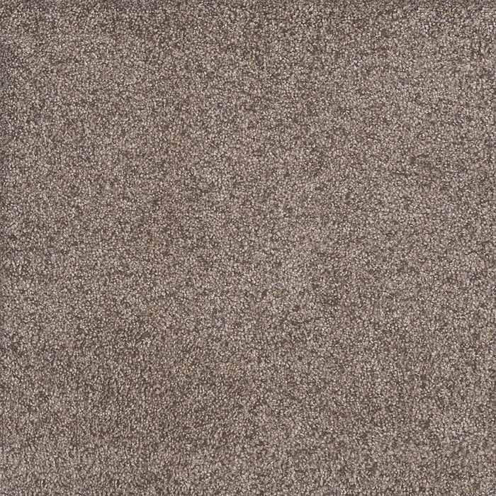 Rustic Retreat I Polyester Clay Pot 5032 Carpet Textured 1