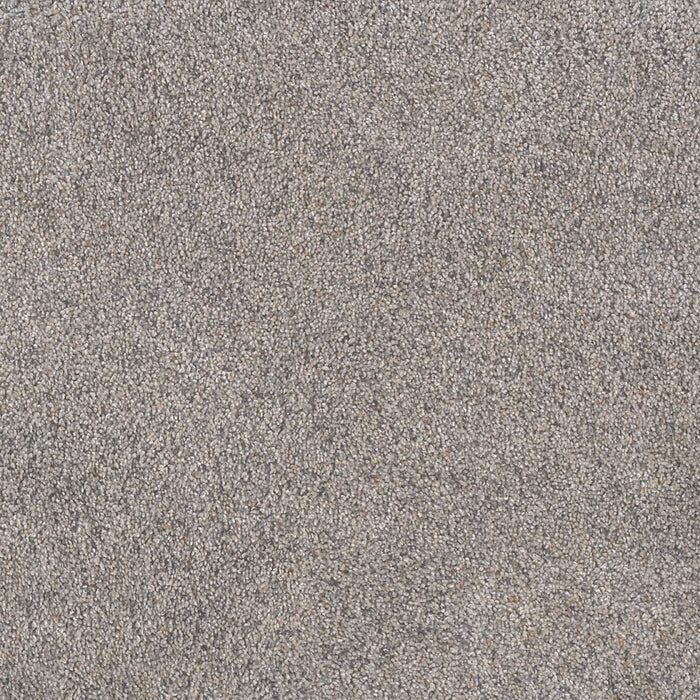 Rustic Retreat II Polyester Sweet Magnolia 5050 Carpet Textured 1
