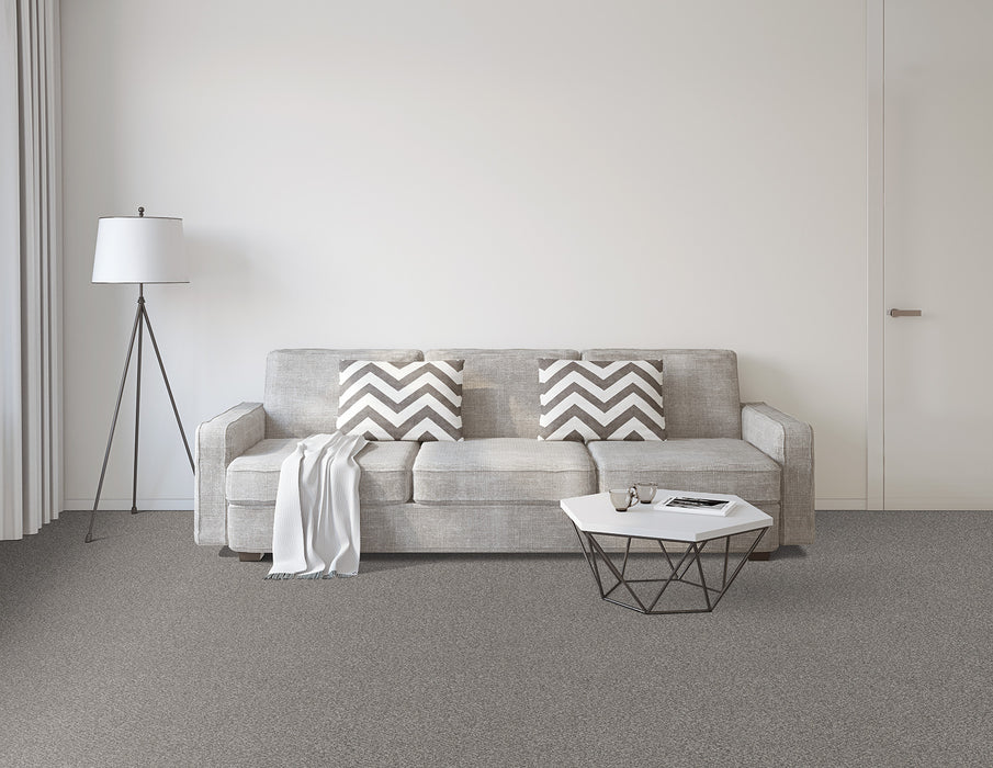 Titan II Polyester Orchid 278 Carpet Textured 2