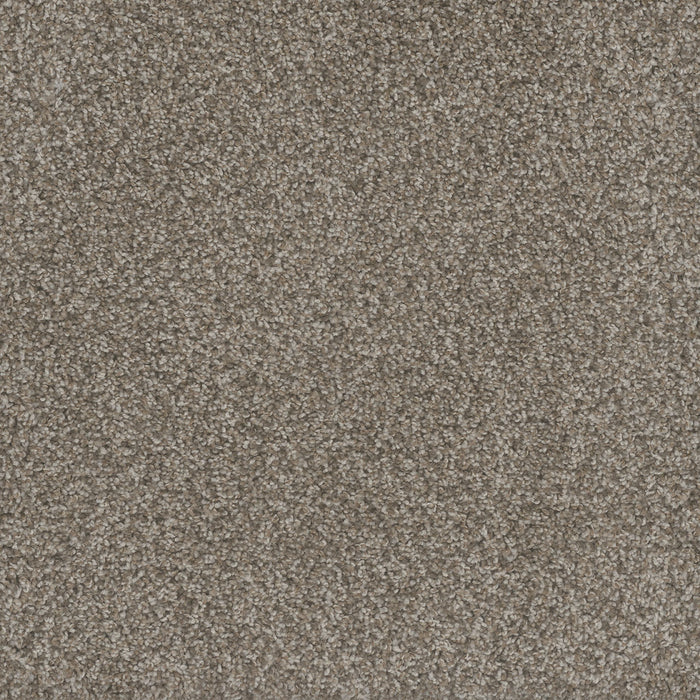 Mill Creek I Polyester Sun N Sand 2015 Carpet Textured 1