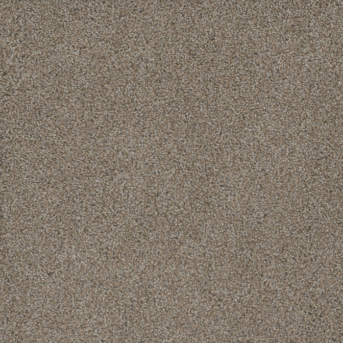 Mill Creek I Polyester Thistle Down 4021 Carpet Textured 1