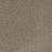 Mill Creek II Polyester Polished Pebble 2023 Carpet Textured 1
