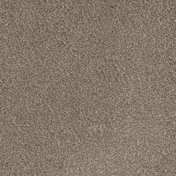Mill Creek I Polyester Polished Pebble 2023 Carpet Textured 1
