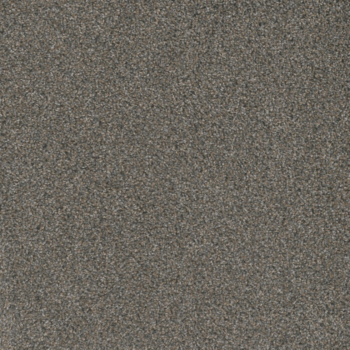Mill Creek I Polyester Rain Shadow 2027 Carpet Textured 1