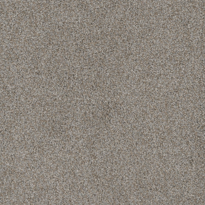 Mill Creek II Polyester Off Shore 4017 Carpet Textured 1