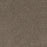 Mill Creek I Polyester Lucky Penny 4026 Carpet Textured 1