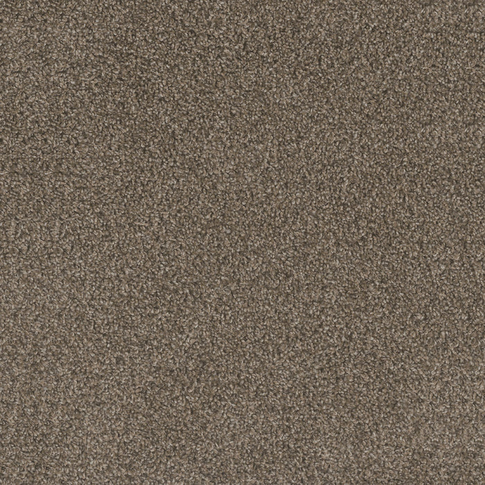 Mill Creek I Polyester Lucky Penny 4026 Carpet Textured 1