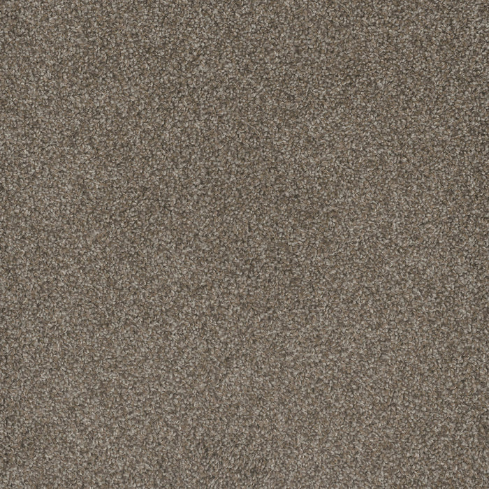 Mill Creek I Polyester Matrix 4029 Carpet Textured 1