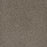 Mill Creek II Polyester Matrix 4029 Carpet Textured 1