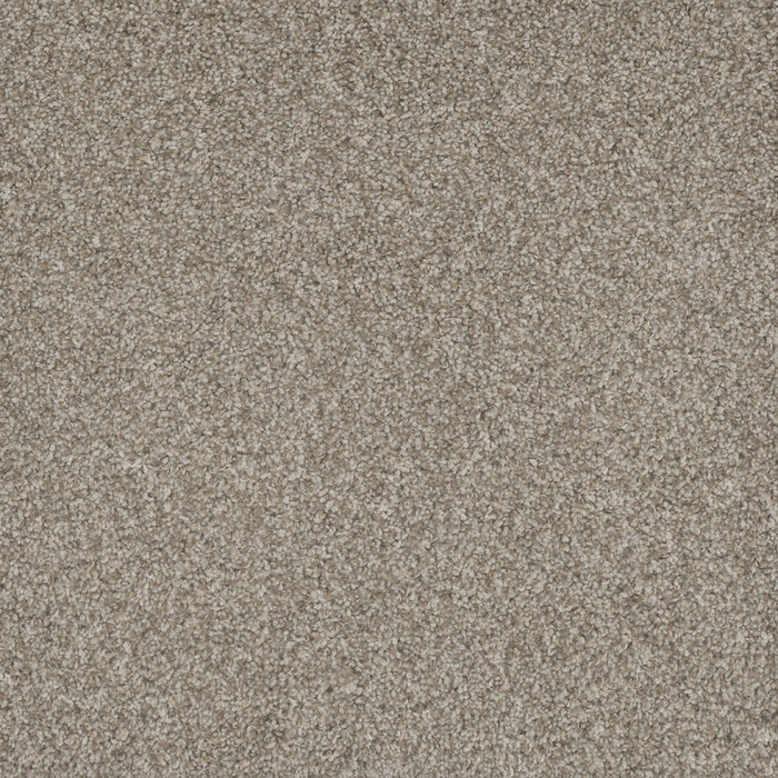 Mill Creek I Polyester Baby'S Breath 4035 Carpet Textured 1
