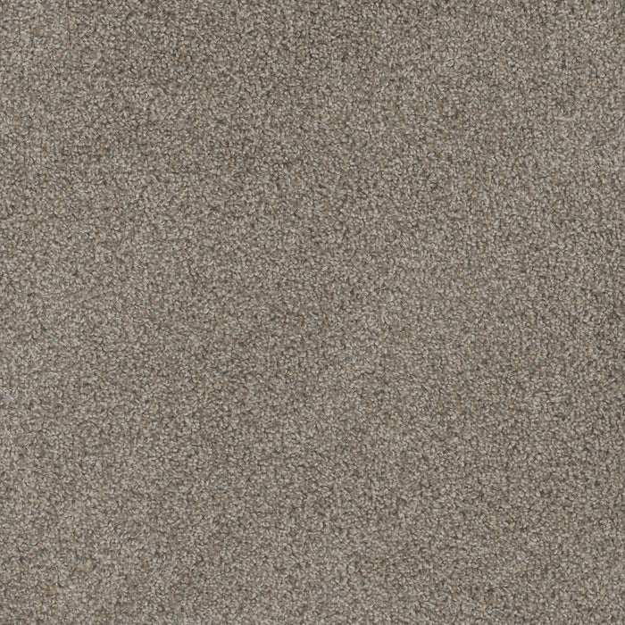 Mill Creek I Polyester Palmdale 4110 Carpet Textured 1