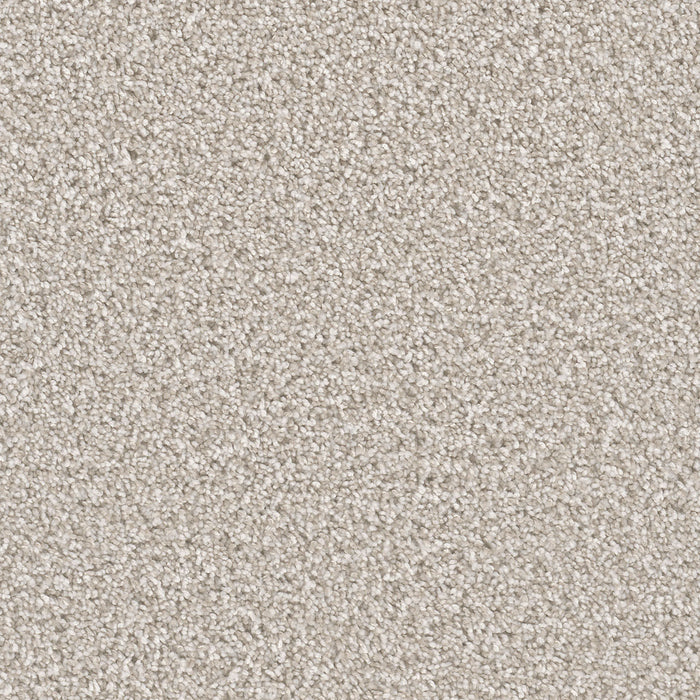 Can't Miss Polyester Porcelain 486 Carpet Textured 1