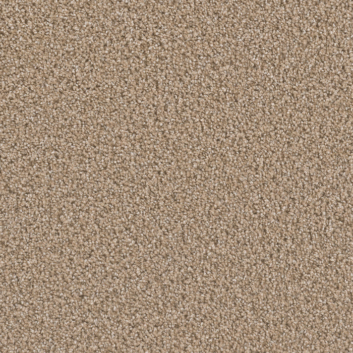 Can't Miss Polyester Straw 551 Carpet Textured 1