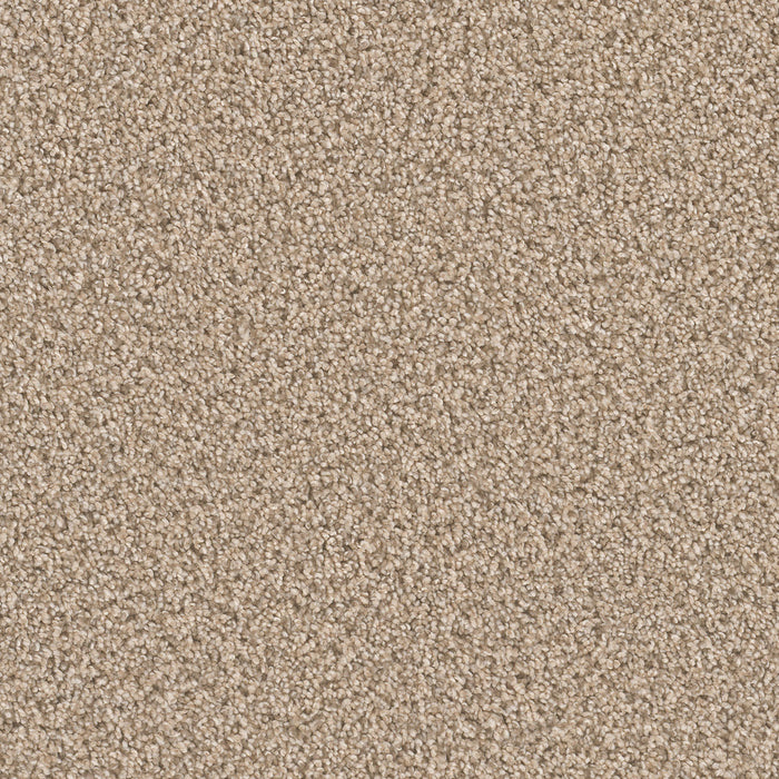 Can't Miss Polyester Oxford 720 Carpet Textured 1