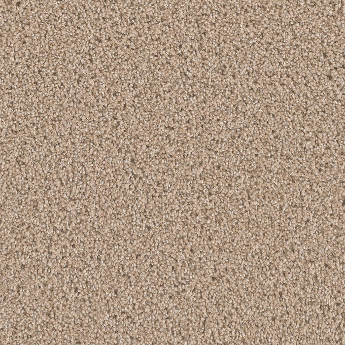Can't Miss Polyester Ginger 726 Carpet Textured 1