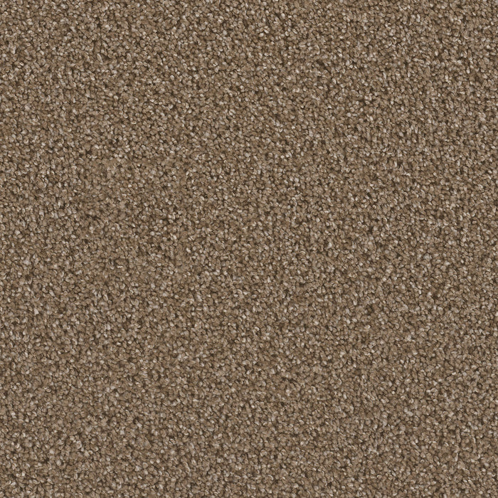 Can't Miss Polyester Peppercorn 753 Carpet Textured 1