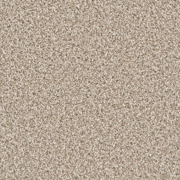 Can't Miss Polyester Seashells 758 Carpet Textured 1
