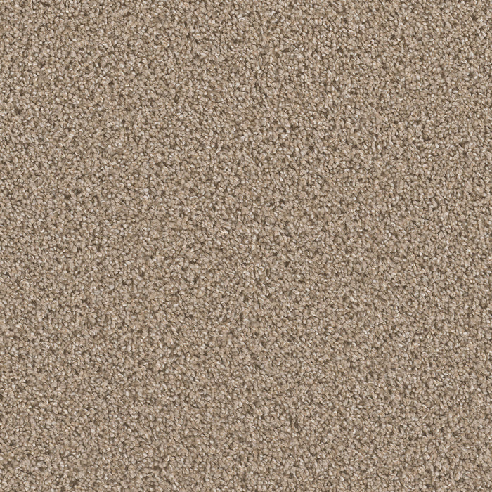 Can't Miss Polyester Mocha 775 Carpet Textured 1