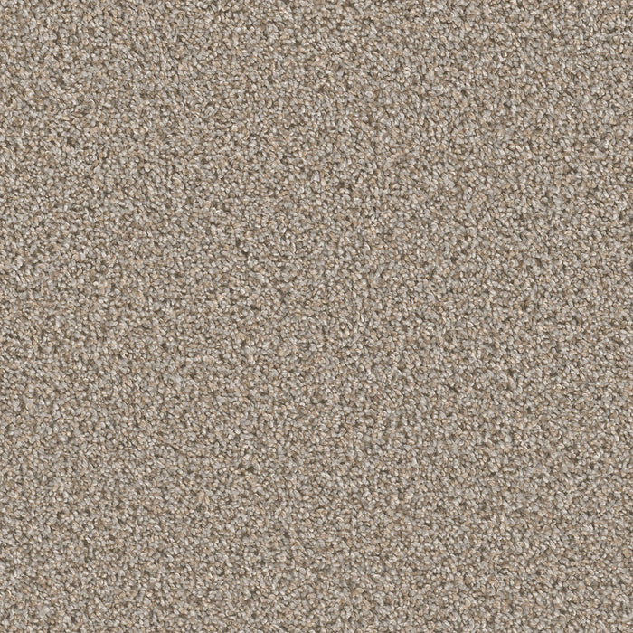 Can't Miss Polyester Iron Frost 815 Carpet Textured 1
