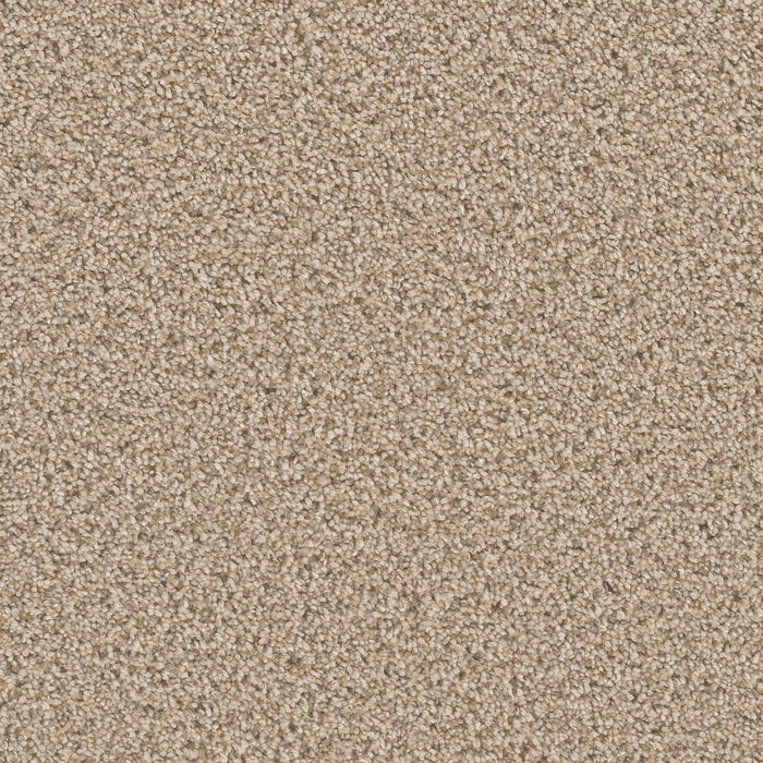 Can't Miss Polyester Linen 824 Carpet Textured 1
