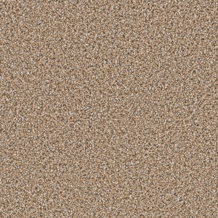 Can't Miss Polyester Wicker 825 Carpet Textured 1