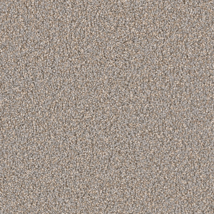 Can't Miss Polyester Shadows 826 Carpet Textured 1