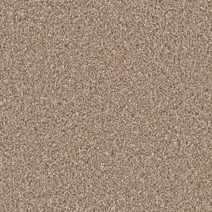 Can't Miss Polyester Acorn 858 Carpet Textured 1