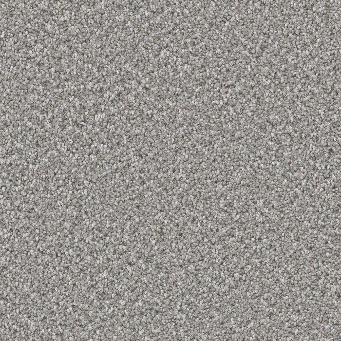 Can't Miss Polyester Moonstone 903 Carpet Textured 1