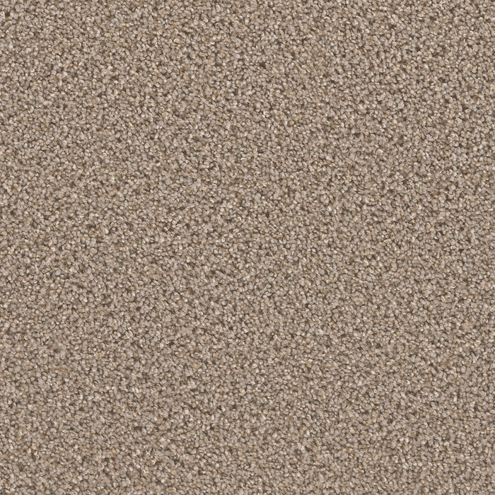 Can't Miss Polyester Ash 945 Carpet Textured 1