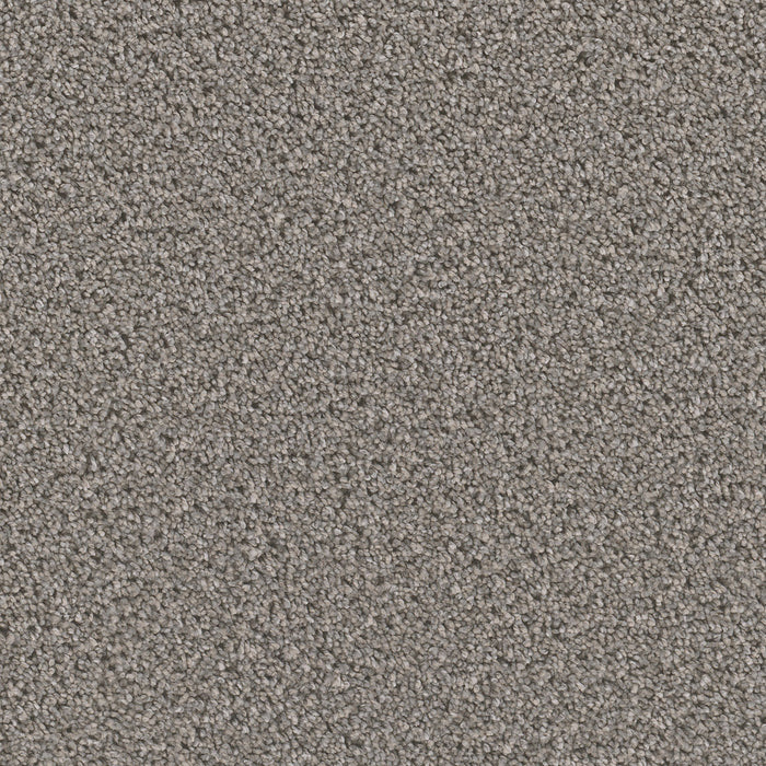 Can't Miss Polyester Orion 955 Carpet Textured 1