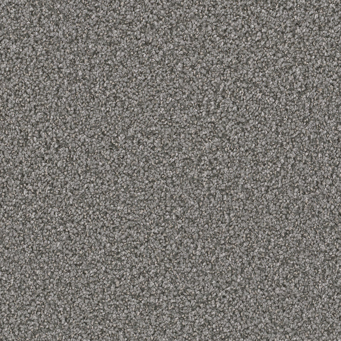 Can't Miss Polyester Zinc 959 Carpet Textured 1