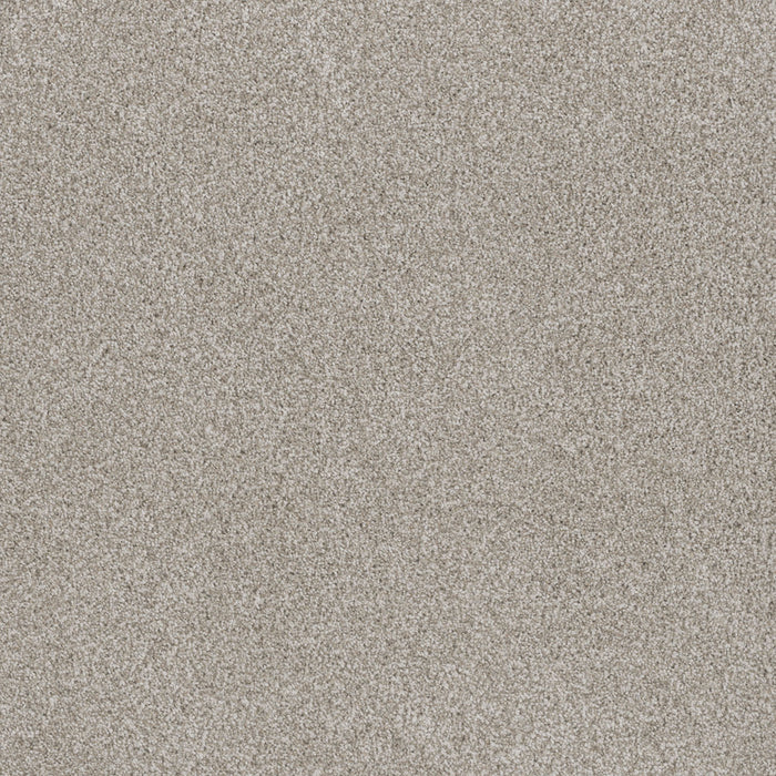 Stunning Polyester Porcelain 486 Carpet Textured 1