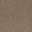 Titan III Polyester Straw 551 Carpet Textured 1