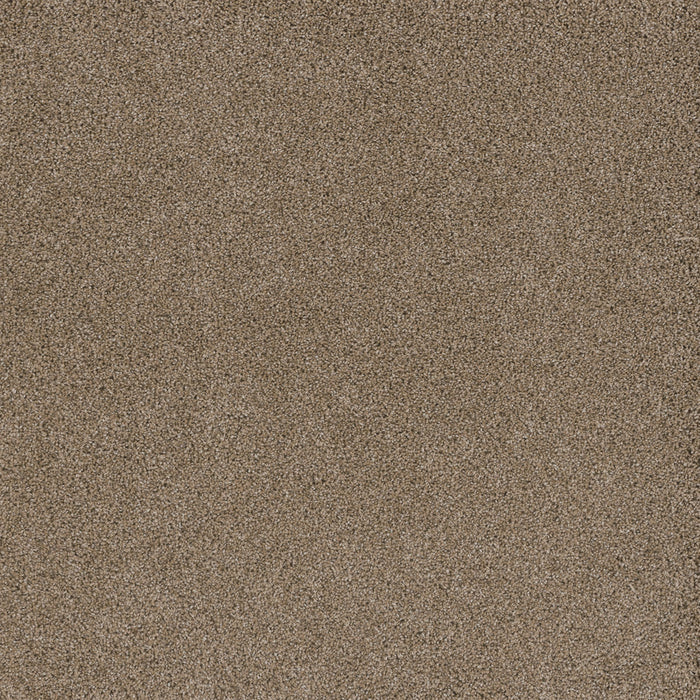 Stunning Polyester Straw 551 Carpet Textured 1