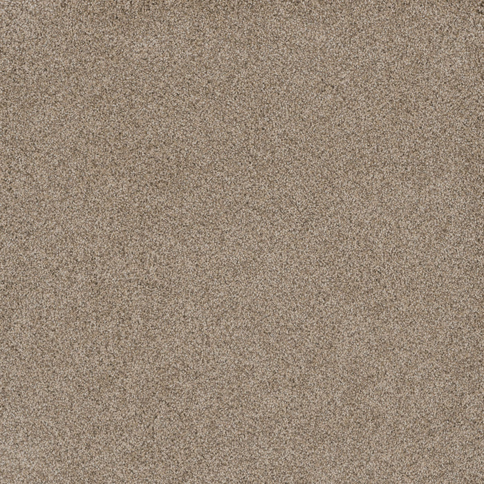 Titan III Polyester Oxford 720 Carpet Textured 1