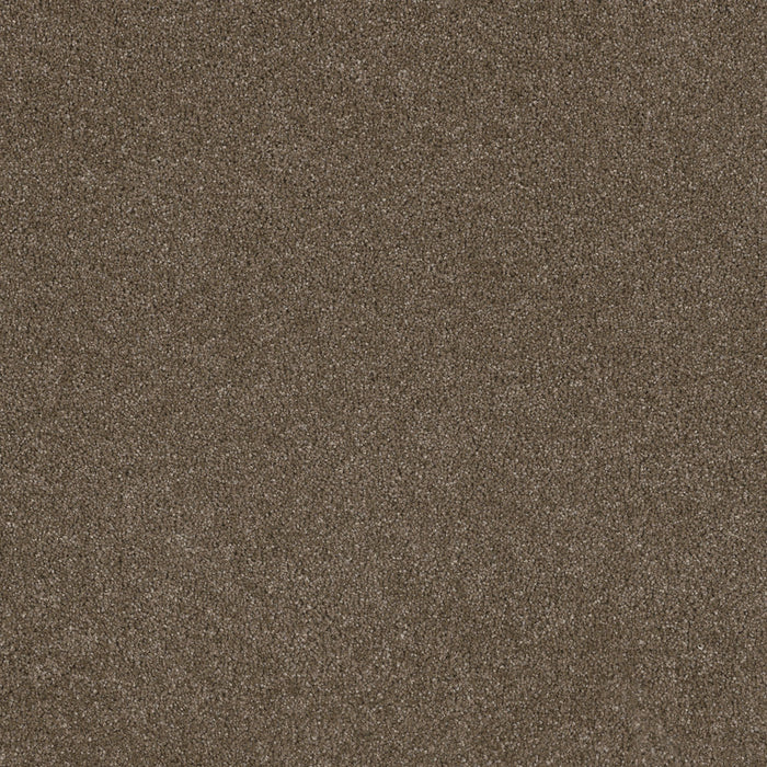 Stunning Polyester Peppercorn 753 Carpet Textured 1