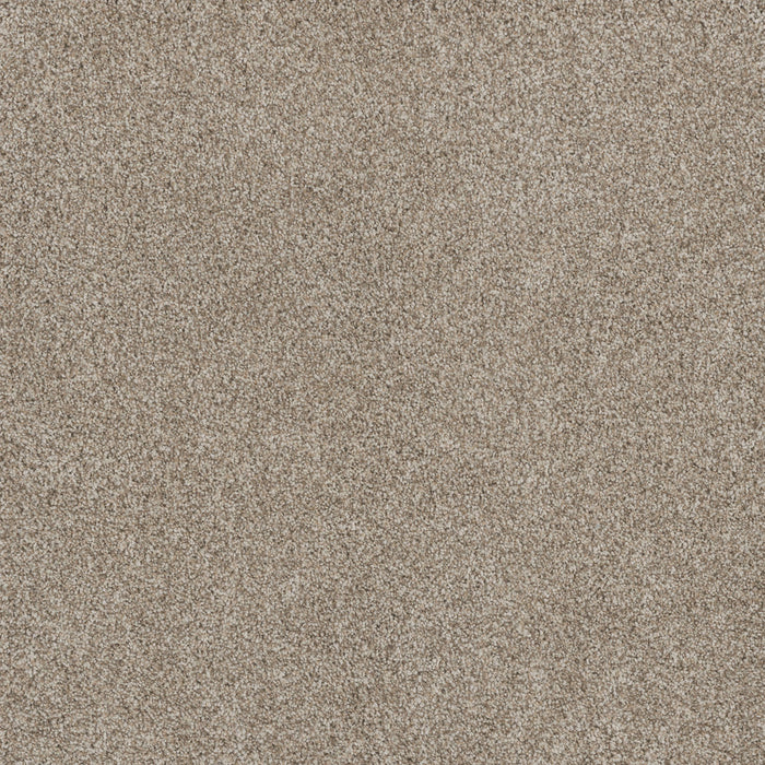 Stunning Polyester Seashells 758 Carpet Textured 1