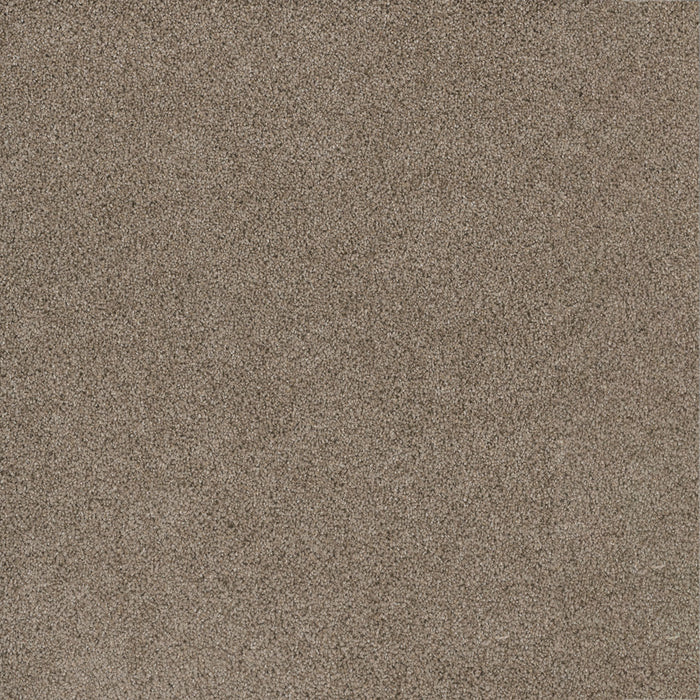 Titan III Polyester Mocha 775 Carpet Textured 1