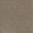 Stunning Polyester Mocha 775 Carpet Textured 1