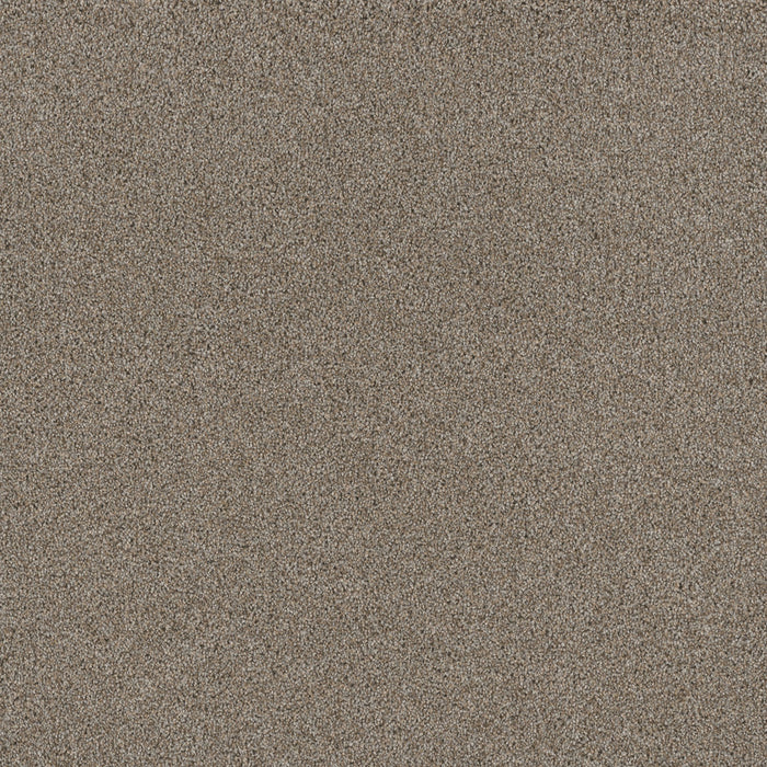 Stunning Polyester Iron Frost 815 Carpet Textured 1