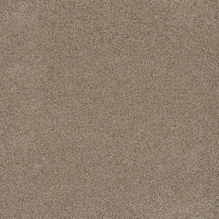 Stunning Polyester Linen 824 Carpet Textured 1