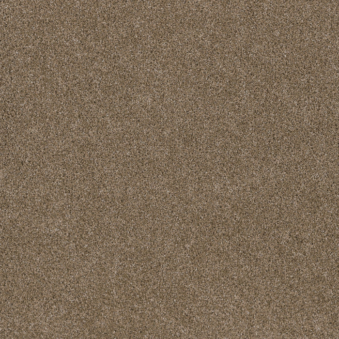 Stunning Polyester Wicker 825 Carpet Textured 1