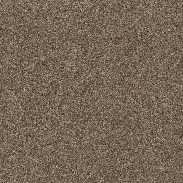 Stunning Polyester Acorn 858 Carpet Textured 1