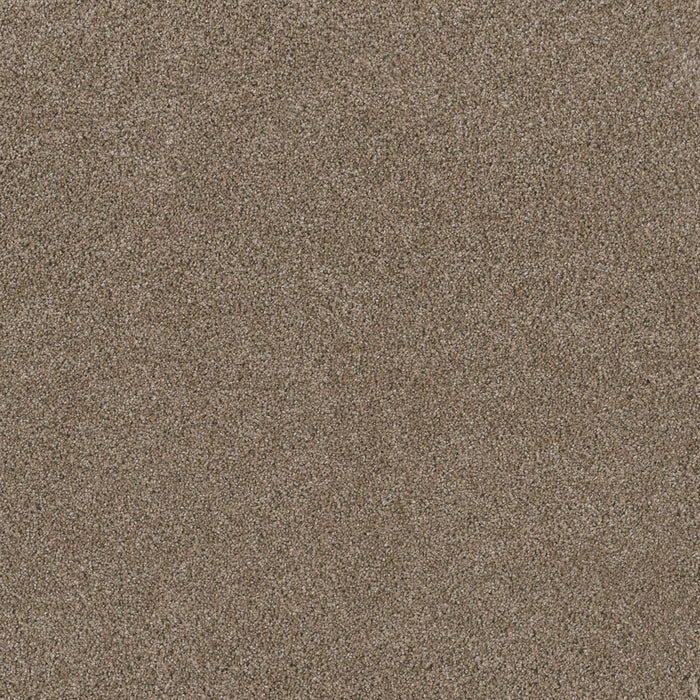 Titan III Polyester Tumbleweed 883 Carpet Textured 1